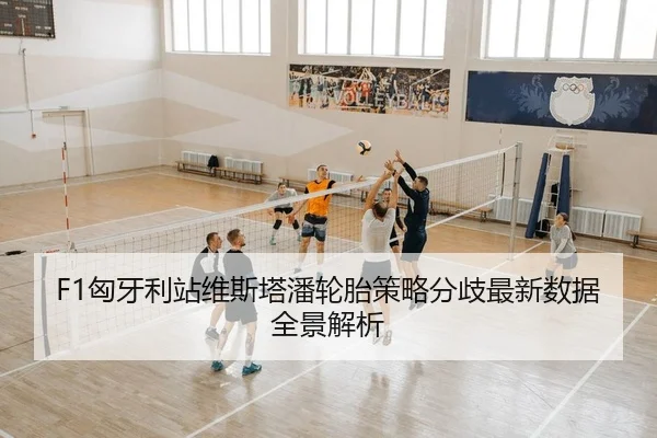 xiong-ya-li-zhan-wei-si-ta-pan-lun-tai-ce-lve-fen-qi-zui-xin-shu-ju-quan-jing-jie-xi-2-485.jpg