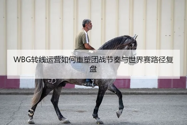 WBG转线运营如何重塑团战节奏与世界赛路径复盘